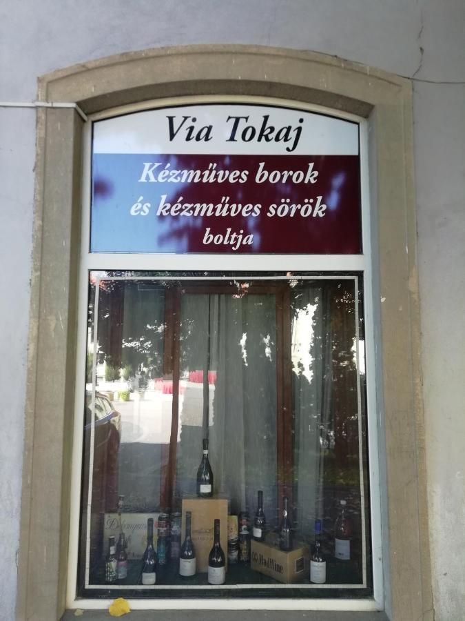Via Tokaj Vendeghaz Daire Sátoraljaújhely Dış mekan fotoğraf