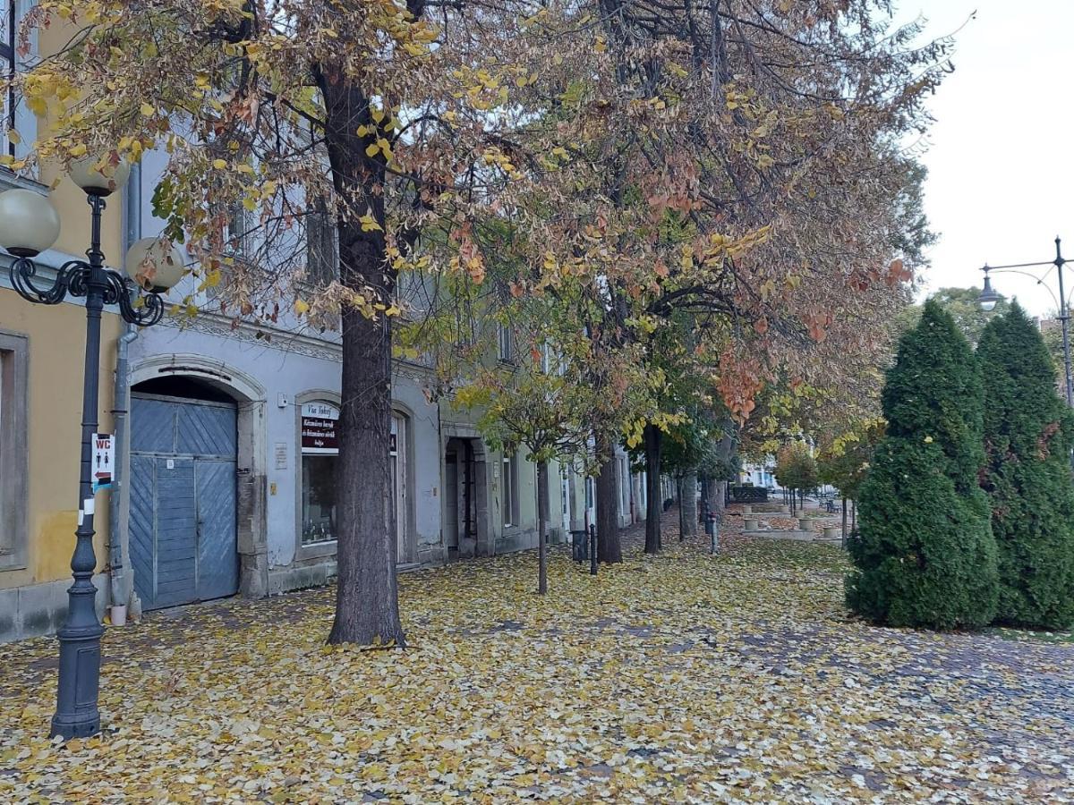 Via Tokaj Vendeghaz Daire Sátoraljaújhely Dış mekan fotoğraf