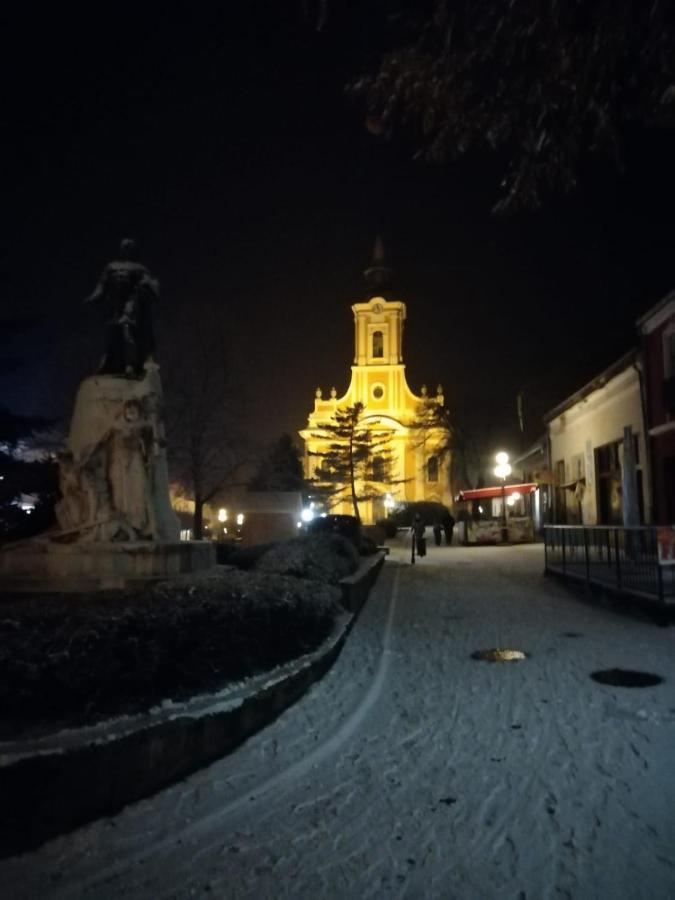 Via Tokaj Vendeghaz Daire Sátoraljaújhely Dış mekan fotoğraf