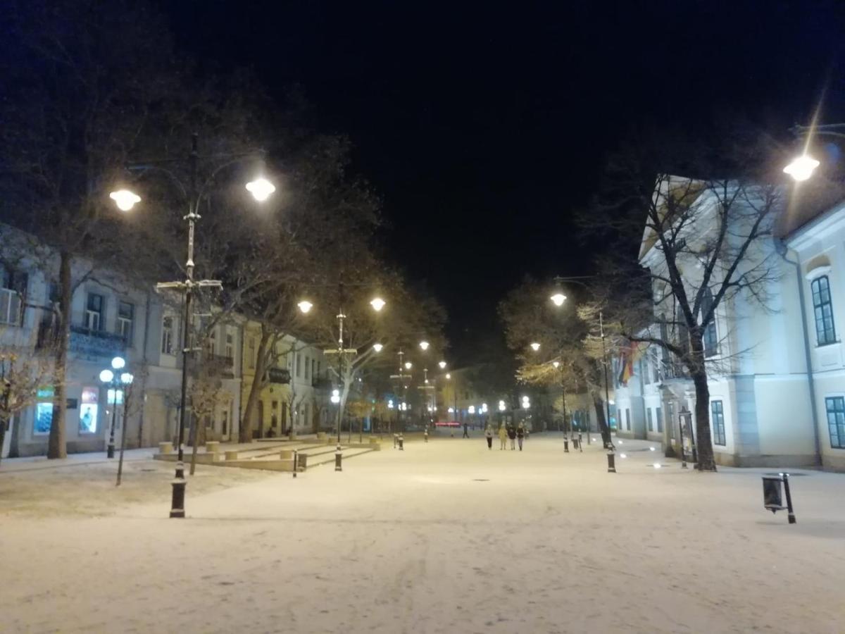 Via Tokaj Vendeghaz Daire Sátoraljaújhely Dış mekan fotoğraf