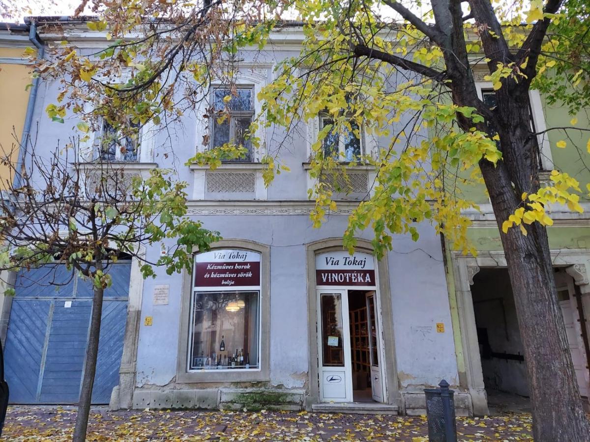Via Tokaj Vendeghaz Daire Sátoraljaújhely Dış mekan fotoğraf