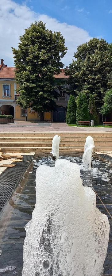 Via Tokaj Vendeghaz Daire Sátoraljaújhely Dış mekan fotoğraf